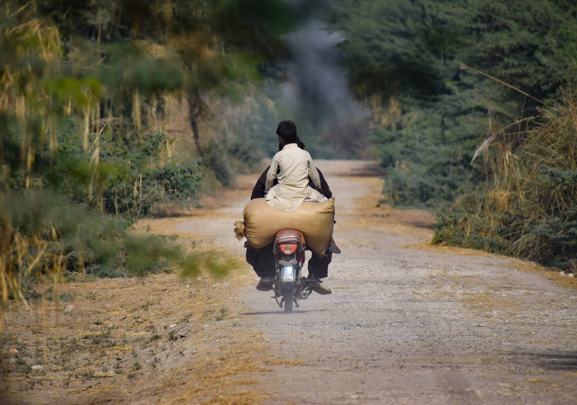 A man riding a motorcycle loaded with sacks along a rural road lined with trees